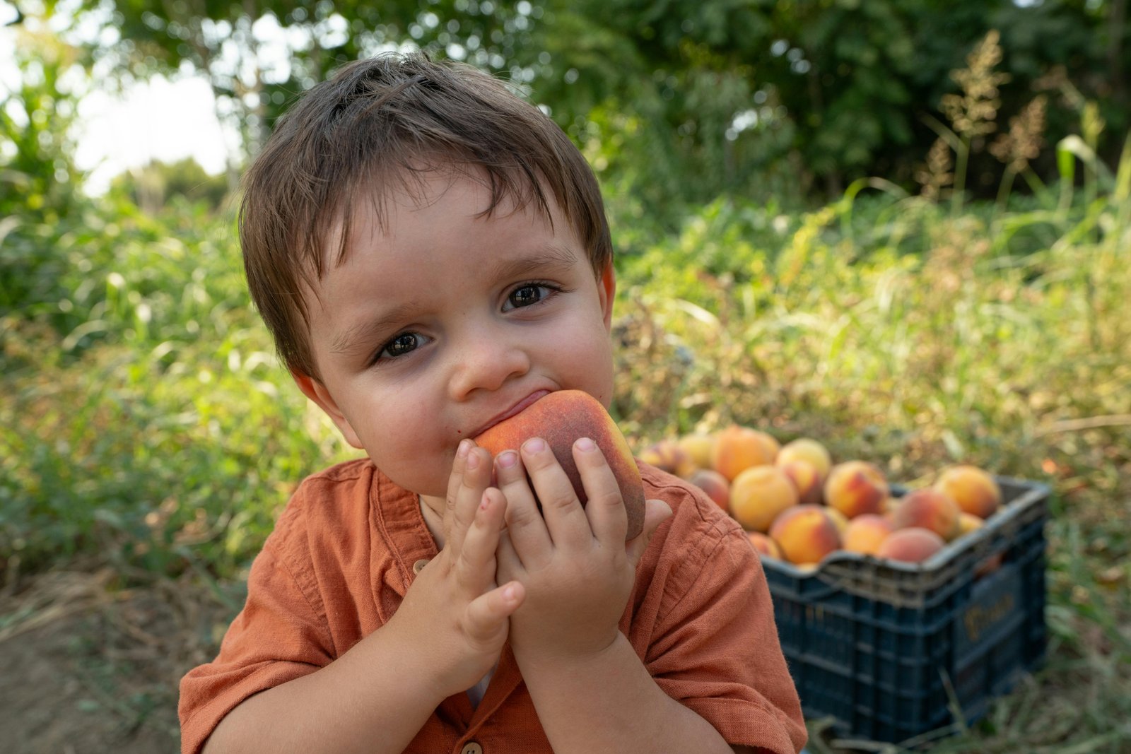 A Little Child Eating an Apple